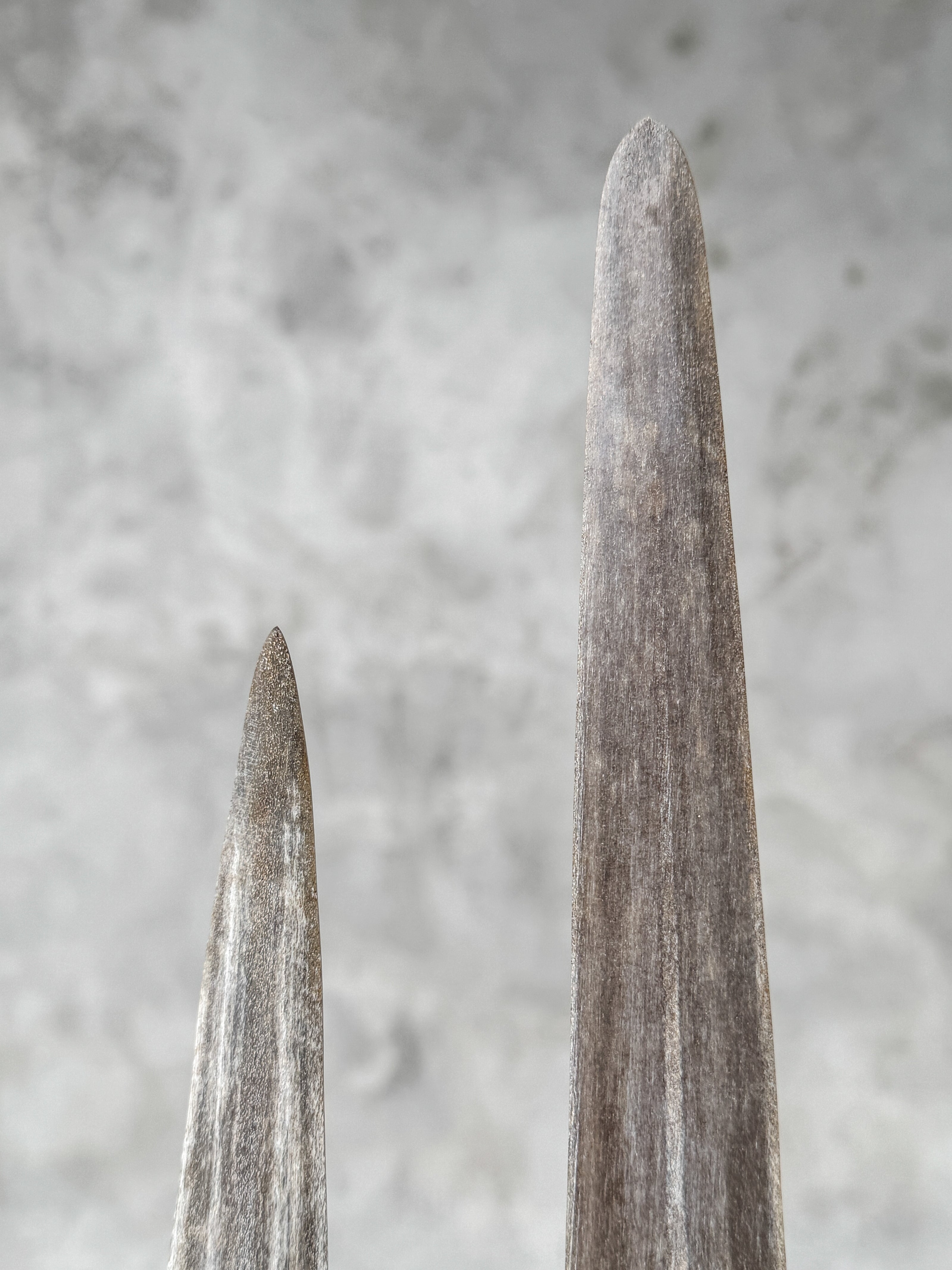 Pair of Natural Tusks on Stand – Bone Sculpture, Tribal Home Decor, Rustic Accent - Tusk,A/046