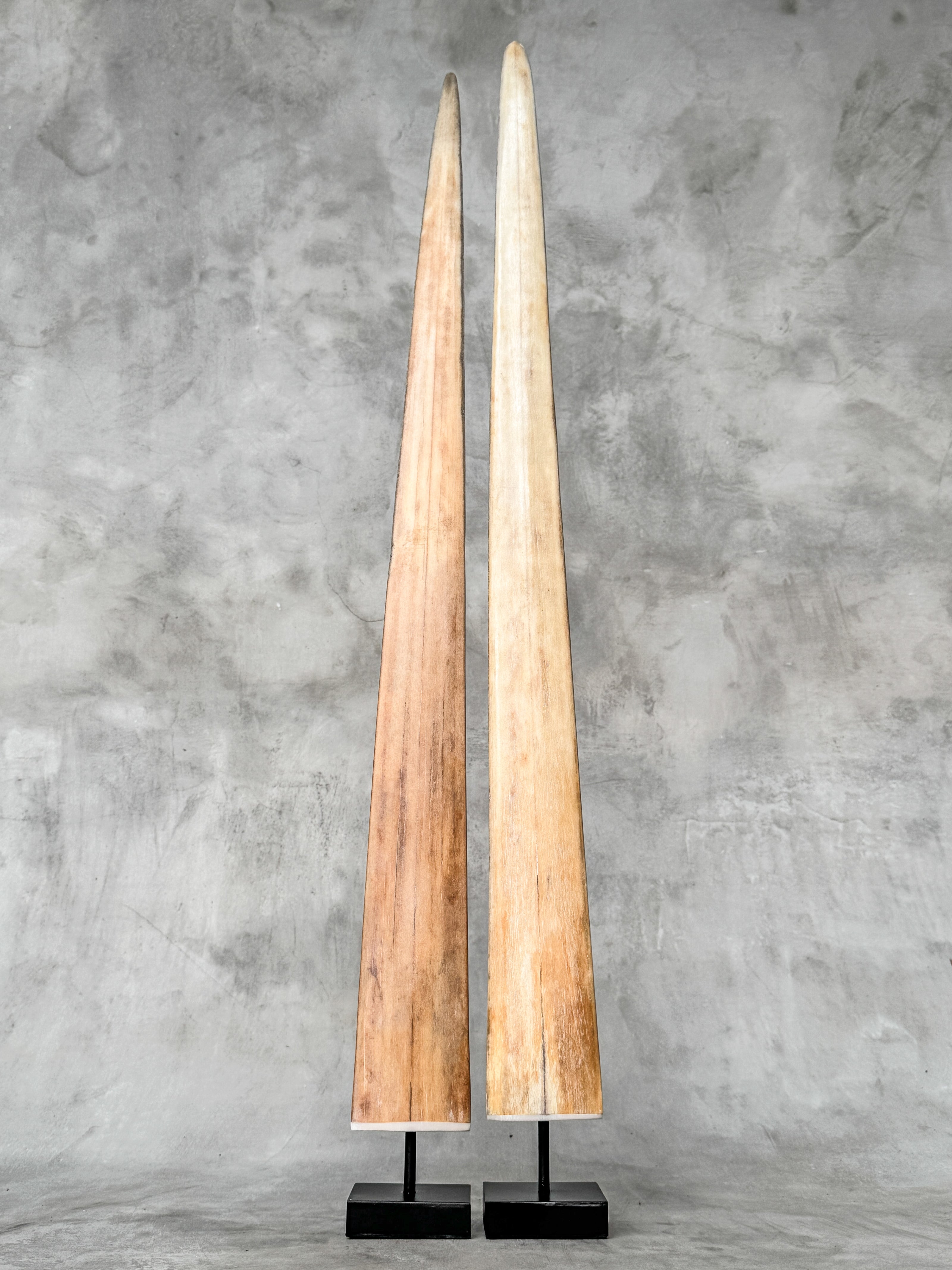 Pair of Natural Tusks on Stand – Rustic Bone Sculpture, Tribal-Inspired Home Decor - Tusk,A/049
