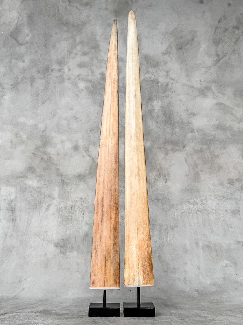 A Pair of Tusks on stand  | Tusk,A/049