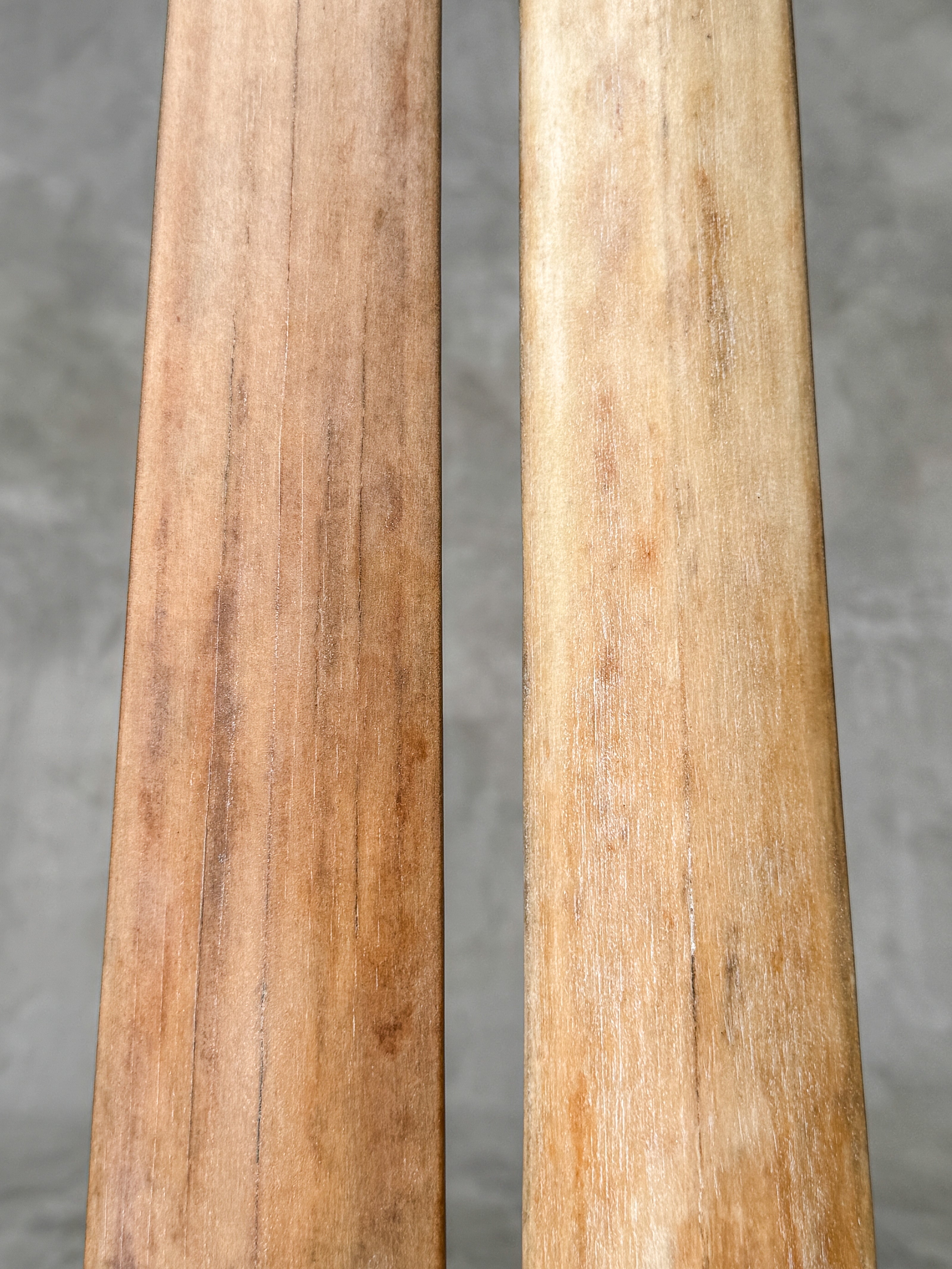 Pair of Natural Tusks on Stand – Rustic Bone Sculpture, Tribal-Inspired Home Decor - Tusk,A/049