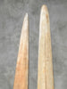 Pair of Natural Tusks on Stand – Rustic Bone Sculpture, Tribal-Inspired Home Decor - Tusk,A/049