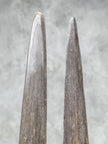 Pair of Natural Tusks on Stand – Rustic Bone Sculpture, Tribal-Inspired Home Decor - Tusk,A/049