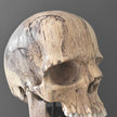 Stunning Hand Carved Wooden Human Skull With a Beautiful Natural Grain - 21/EX/788