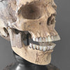 Stunning Hand Carved Wooden Human Skull With a Beautiful Natural Grain - 21/EX/788