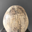 Stunning Hand Carved Wooden Human Skull With a Beautiful Natural Grain - 21/EX/788