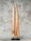 air of Natural Tusks on Stand – Rustic Tribal Decor, Bone Sculpture - Tusk,A/045
