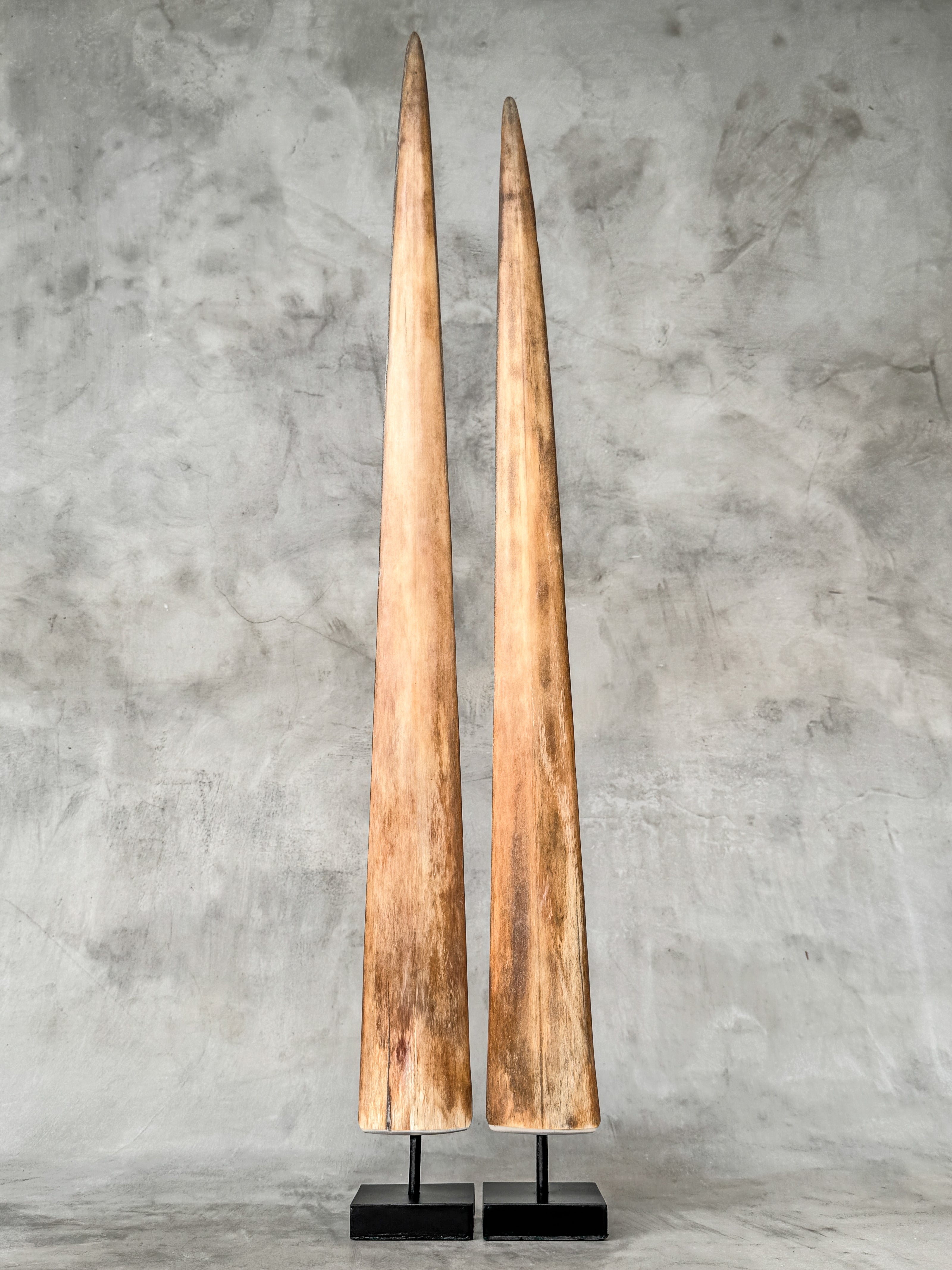 air of Natural Tusks on Stand – Rustic Tribal Decor, Bone Sculpture - Tusk,A/045