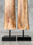 air of Natural Tusks on Stand – Rustic Tribal Decor, Bone Sculpture - Tusk,A/045