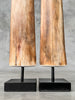 air of Natural Tusks on Stand – Rustic Tribal Decor, Bone Sculpture - Tusk,A/045