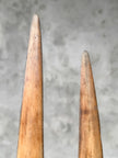 air of Natural Tusks on Stand – Rustic Tribal Decor, Bone Sculpture - Tusk,A/045
