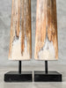 air of Natural Tusks on Stand – Rustic Tribal Decor, Bone Sculpture - Tusk,A/045