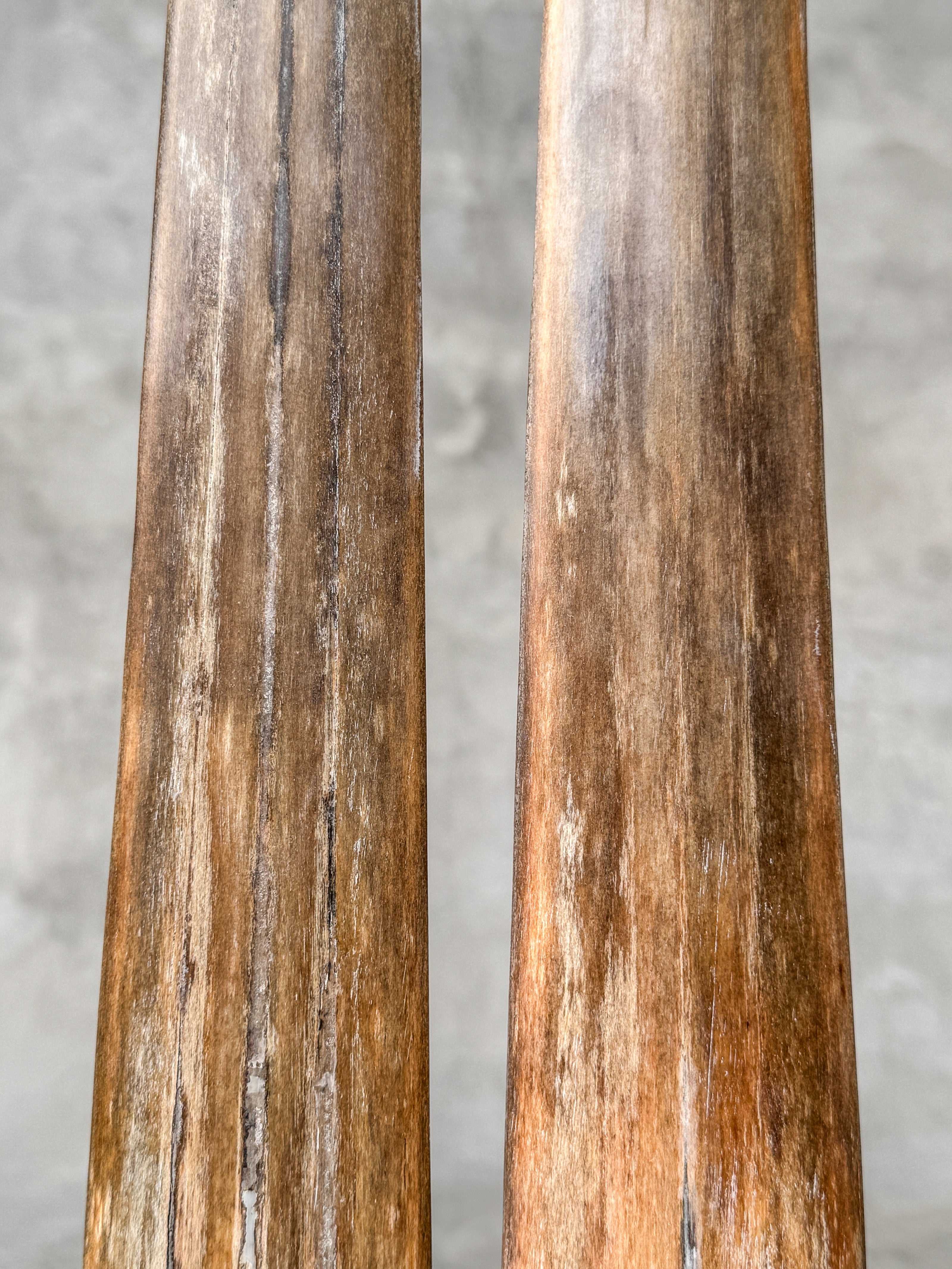 air of Natural Tusks on Stand – Rustic Tribal Decor, Bone Sculpture - Tusk,A/045