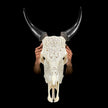 White Carved Cow Skull With Abalone Shell Accents - Peacock motif | Skull,A/143