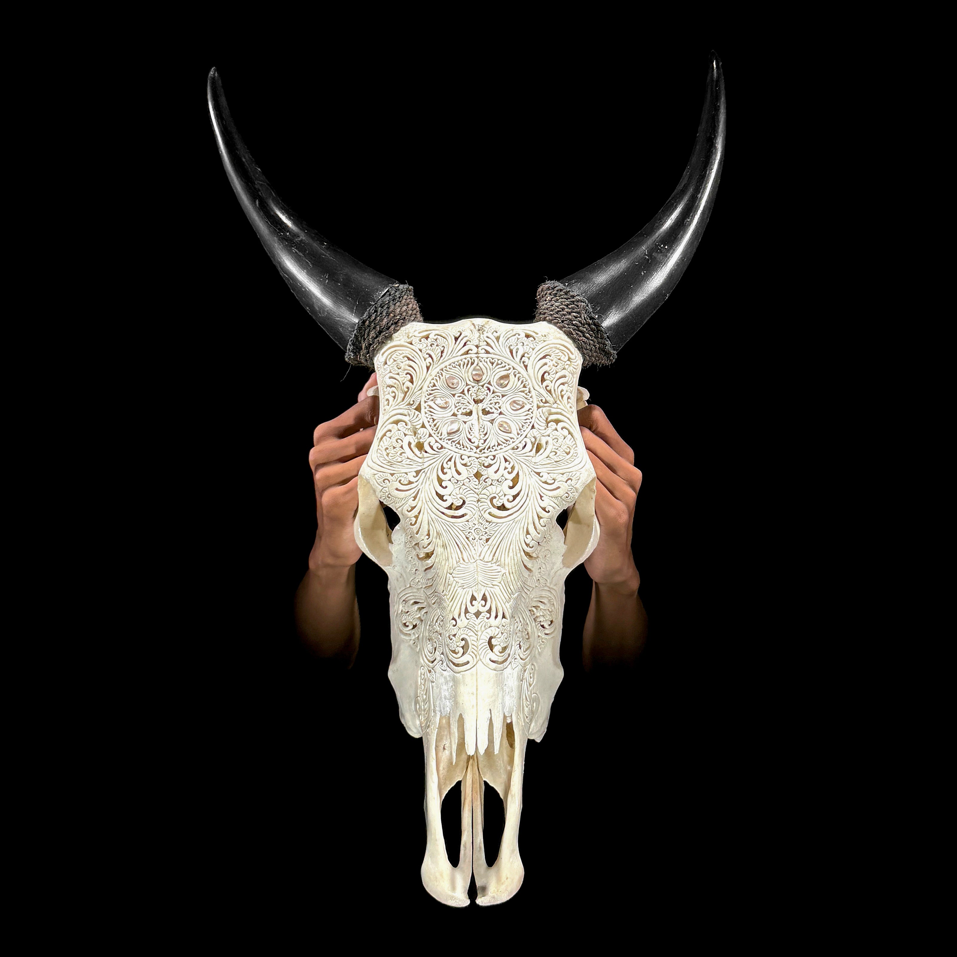 White Carved Cow Skull With Abalone Shell Accents - Peacock motif | Skull,A/143