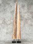 Natural Tusks on Stand – Rustic Tribal Decor – Organic Home Accent – Earthy home interiors - Set of 2 - Tusk,A/056