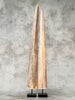 Natural Tusks on Stand – Rustic Tribal Decor – Organic Home Accent – Earthy home interiors - Set of 2 - Tusk,A/056