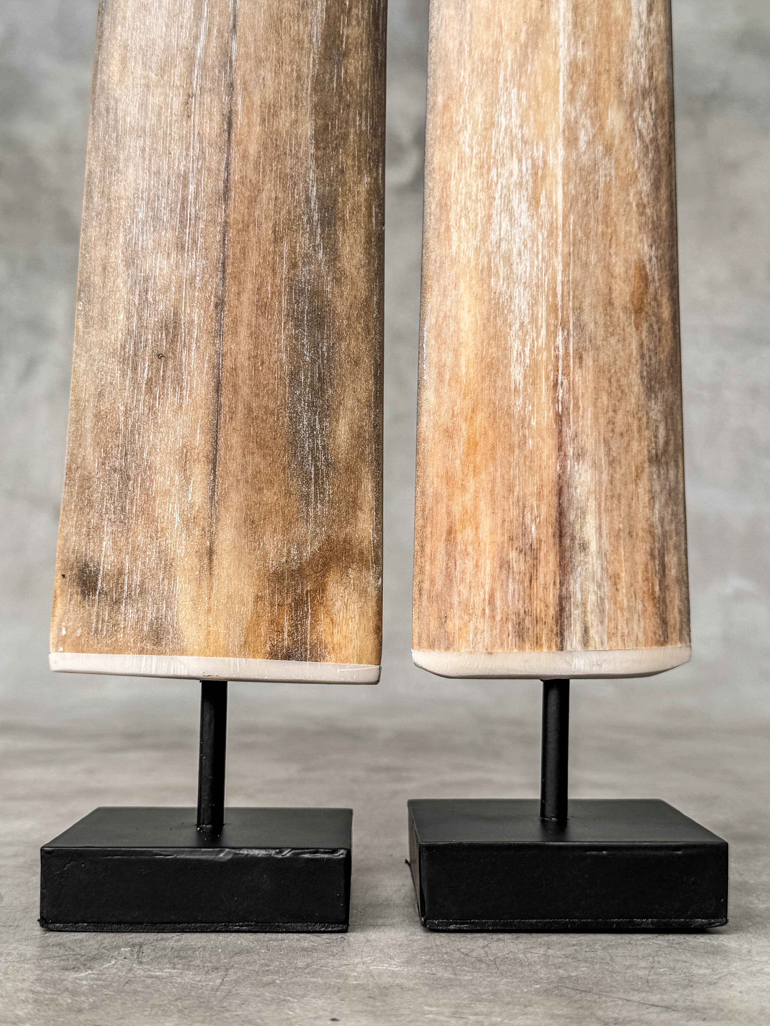 Natural Tusks on Stand – Rustic Tribal Decor – Organic Home Accent – Earthy home interiors - Set of 2 - Tusk,A/056