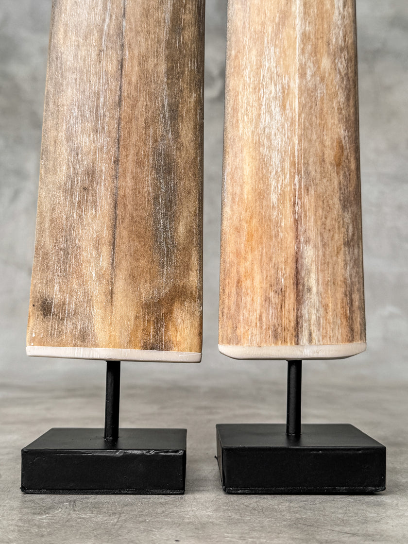 A Pair of Tusks on stand  | Tusk,A/056