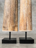Natural Tusks on Stand – Rustic Tribal Decor – Organic Home Accent – Earthy home interiors - Set of 2 - Tusk,A/056