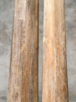 Natural Tusks on Stand – Rustic Tribal Decor – Organic Home Accent – Earthy home interiors - Set of 2 - Tusk,A/056