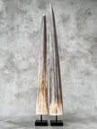 Natural Tusks on Stand – Rustic Tribal Decor – Organic Home Accent – Earthy home interiors - Set of 2 - Tusk,A/056