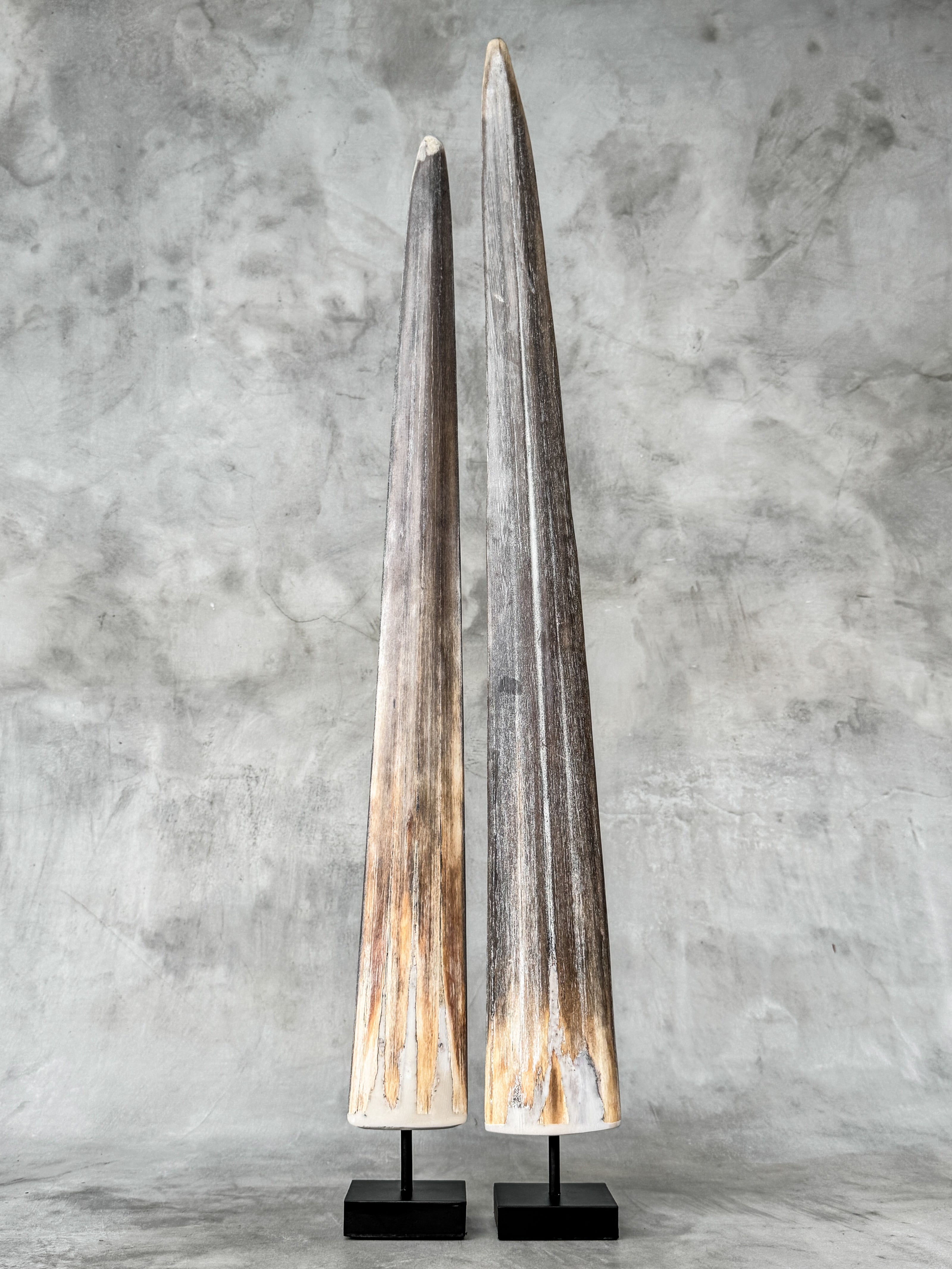 Natural Tusks on Stand – Rustic Tribal Decor – Organic Home Accent – Earthy home interiors - Set of 2 - Tusk,A/056