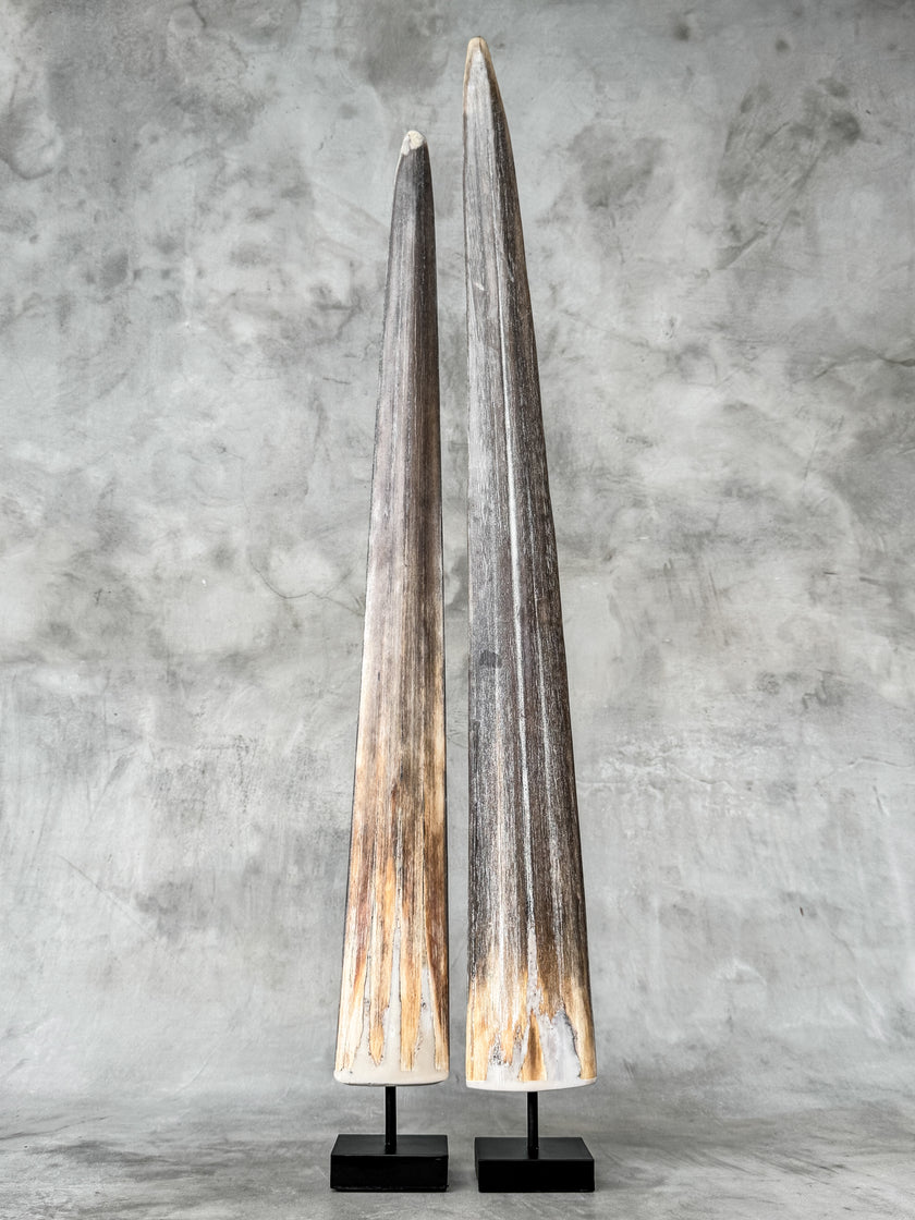 A Pair of Tusks on stand  | Tusk,A/056