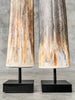 Natural Tusks on Stand – Rustic Tribal Decor – Organic Home Accent – Earthy home interiors - Set of 2 - Tusk,A/056