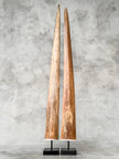 Pair of Natural Tusks on Stands – Organic Coastal Sculptures | Rustic Modern Home Accent | Sleek Earth-Inspired Display Pieces - Tusk,A/055