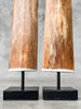 Pair of Natural Tusks on Stands – Organic Coastal Sculptures | Rustic Modern Home Accent | Sleek Earth-Inspired Display Pieces - Tusk,A/055
