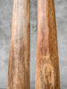 Pair of Natural Tusks on Stands – Organic Coastal Sculptures | Rustic Modern Home Accent | Sleek Earth-Inspired Display Pieces - Tusk,A/055
