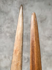 Pair of Natural Tusks on Stands – Organic Coastal Sculptures | Rustic Modern Home Accent | Sleek Earth-Inspired Display Pieces - Tusk,A/055