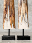 Pair of Natural Tusks on Stands – Organic Coastal Sculptures | Rustic Modern Home Accent | Sleek Earth-Inspired Display Pieces - Tusk,A/055