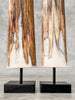 Pair of Natural Tusks on Stands – Organic Coastal Sculptures | Rustic Modern Home Accent | Sleek Earth-Inspired Display Pieces - Tusk,A/055