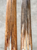 Pair of Natural Tusks on Stands – Organic Coastal Sculptures | Rustic Modern Home Accent | Sleek Earth-Inspired Display Pieces - Tusk,A/055