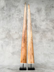 Pair of Natural Tusks on Stand – Rustic Bone Sculpture, Tribal-Inspired Home Accent - Tusk,A/051