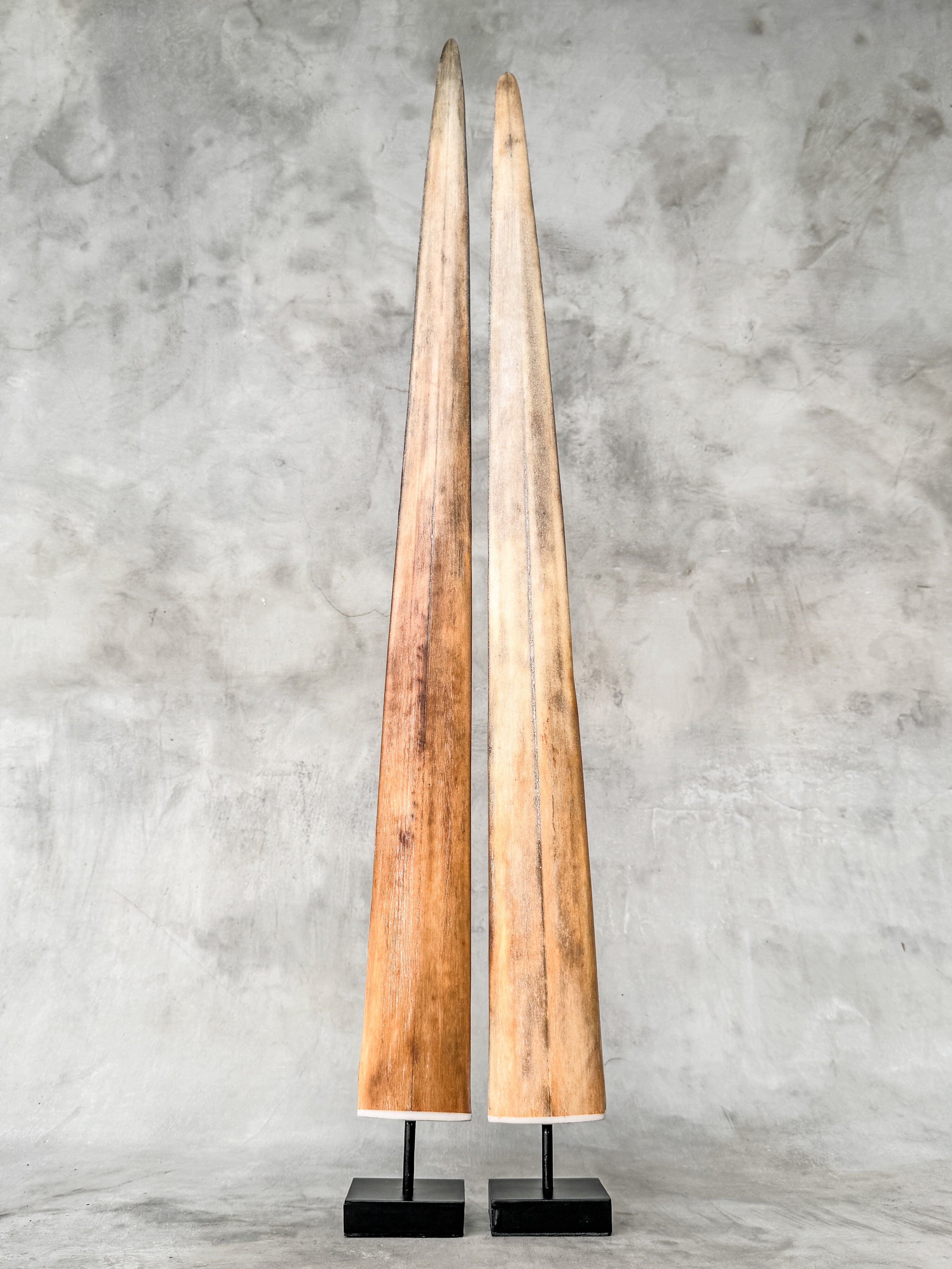 Pair of Natural Tusks on Stand – Rustic Bone Sculpture, Tribal-Inspired Home Accent - Tusk,A/051