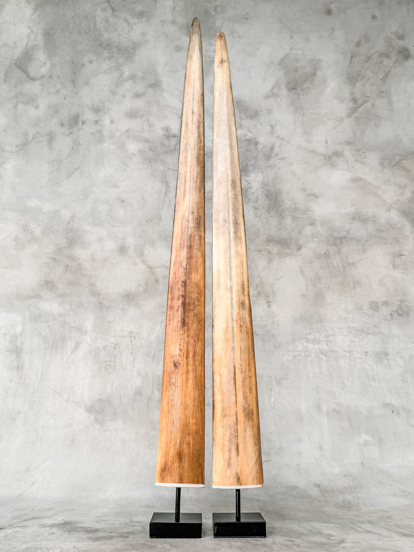 A Pair of Tusks on stand  | Tusk,A/051