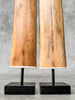 Pair of Natural Tusks on Stand – Rustic Bone Sculpture, Tribal-Inspired Home Accent - Tusk,A/051