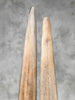 Pair of Natural Tusks on Stand – Rustic Bone Sculpture, Tribal-Inspired Home Accent - Tusk,A/051