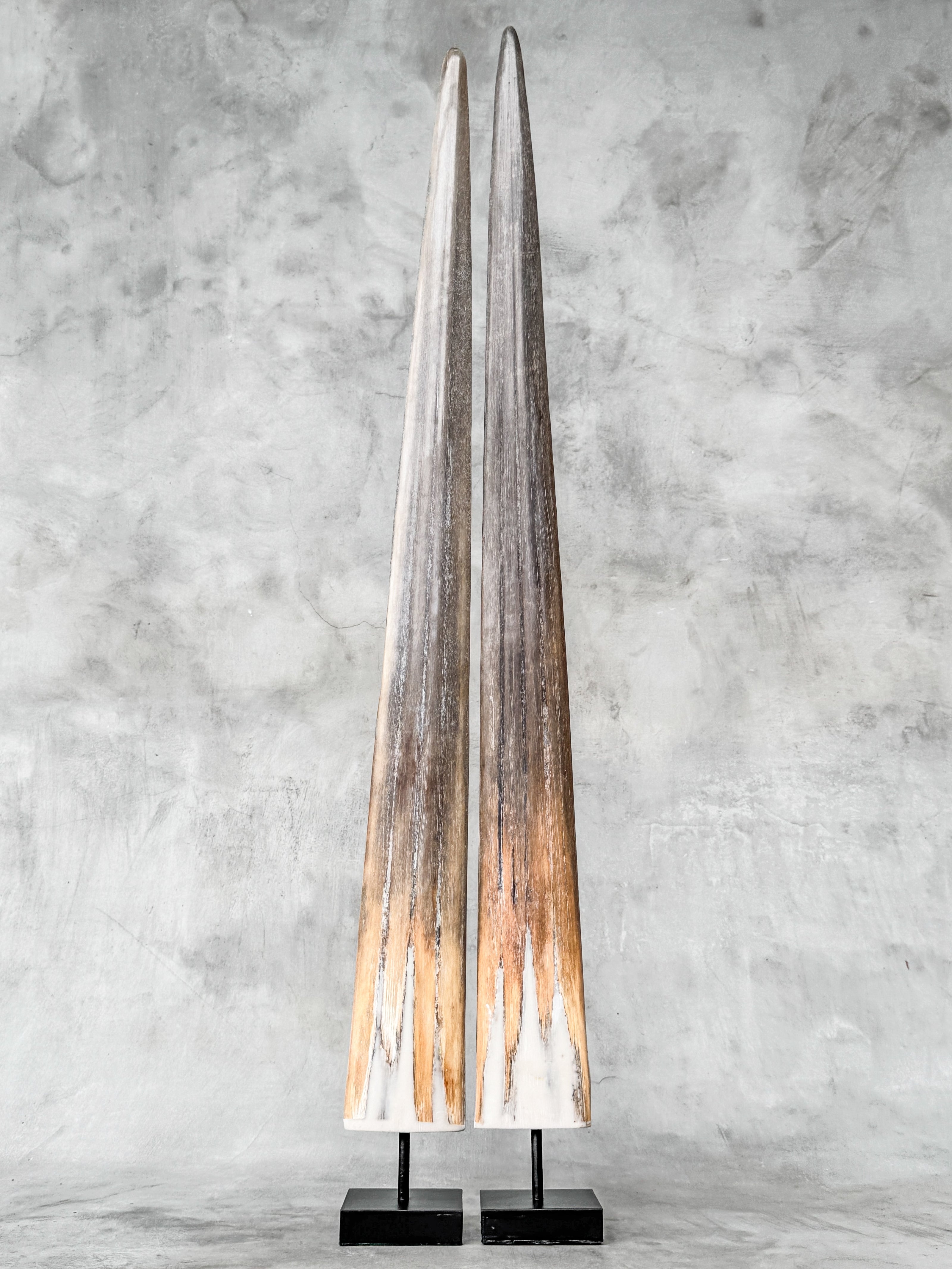 Pair of Natural Tusks on Stand – Rustic Bone Sculpture, Tribal-Inspired Home Accent - Tusk,A/051