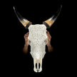 Carved Cow Skulls with Star Mandala Carving Skull,A/185