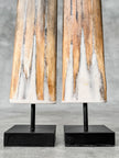 Pair of Natural Tusks on Stand – Rustic Bone Sculpture, Tribal-Inspired Home Accent - Tusk,A/051