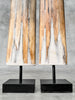 Pair of Natural Tusks on Stand – Rustic Bone Sculpture, Tribal-Inspired Home Accent - Tusk,A/051