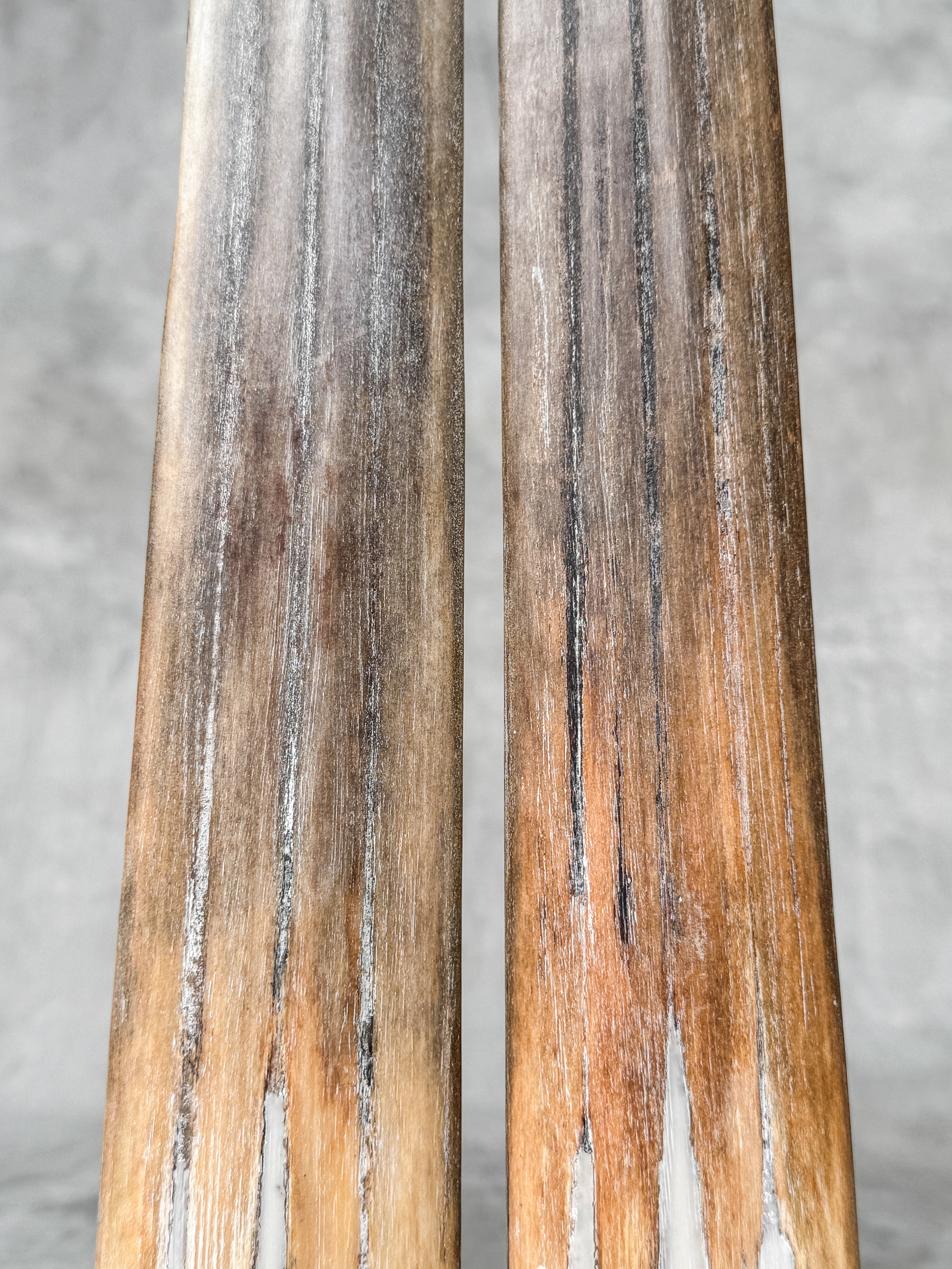 Pair of Natural Tusks on Stand – Rustic Bone Sculpture, Tribal-Inspired Home Accent - Tusk,A/051