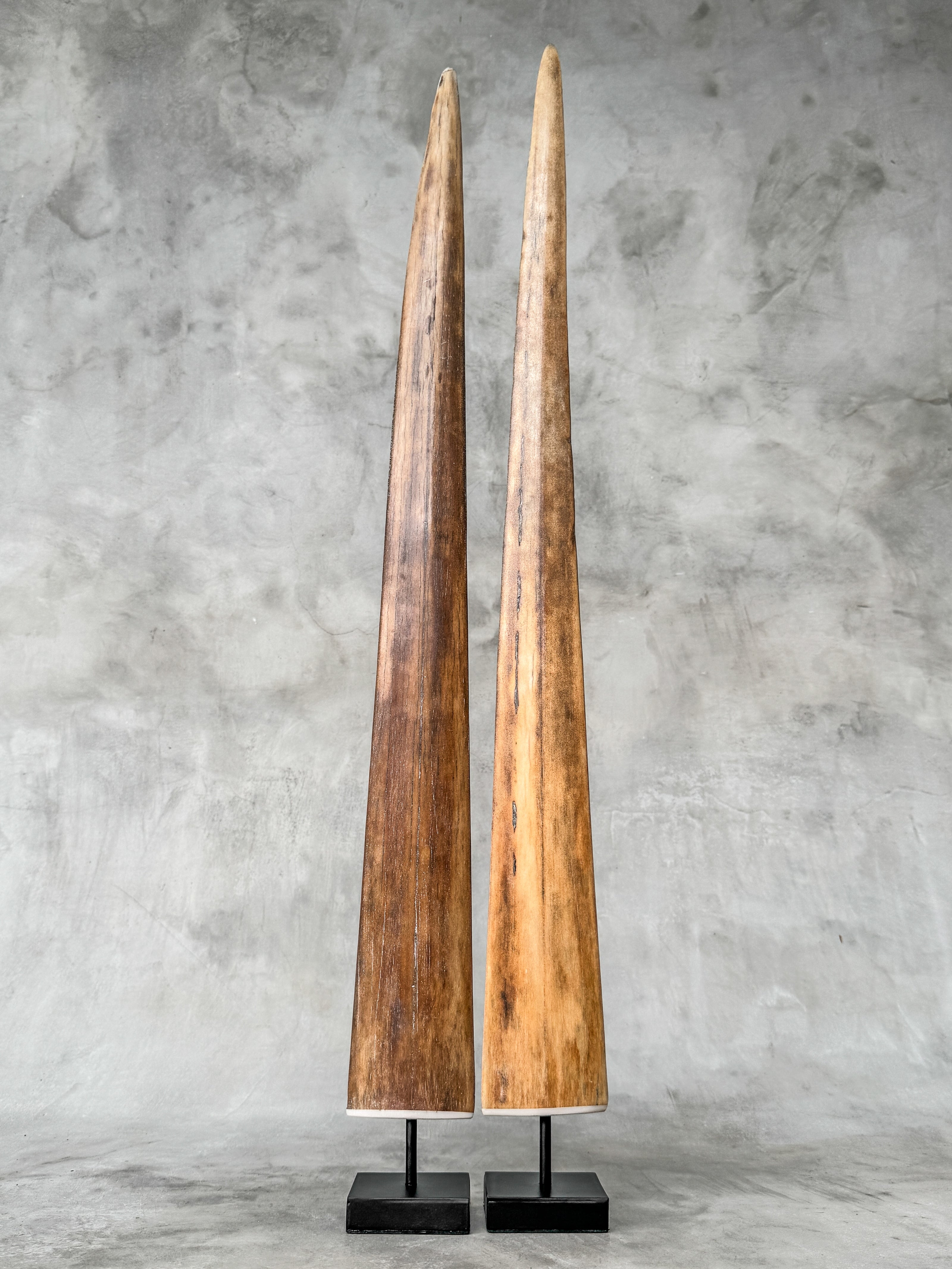 Pair of Natural Tusks on Stand – Tribal Bone Sculpture, Rustic Decor, Organic AccentTusk,A/044