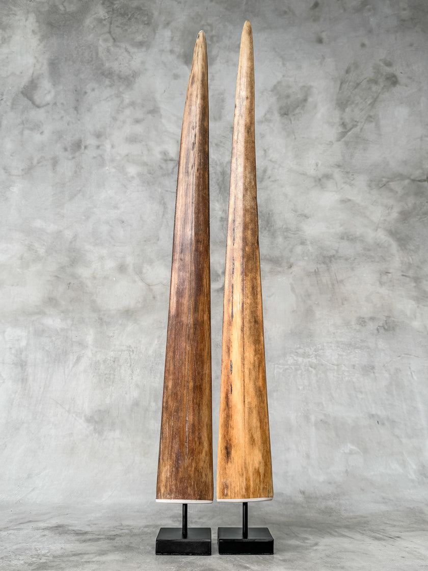 A Pair of Tusks on stand  | Tusk,A/044
