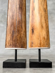 Pair of Natural Tusks on Stand – Tribal Bone Sculpture, Rustic Decor, Organic AccentTusk,A/044