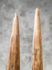 Pair of Natural Tusks on Stand – Tribal Bone Sculpture, Rustic Decor, Organic AccentTusk,A/044