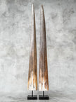 Pair of Natural Tusks on Stand – Tribal Bone Sculpture, Rustic Decor, Organic AccentTusk,A/044